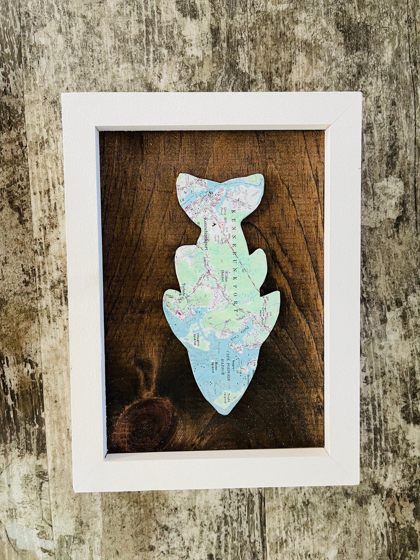 Customizable Framed Fish Maps