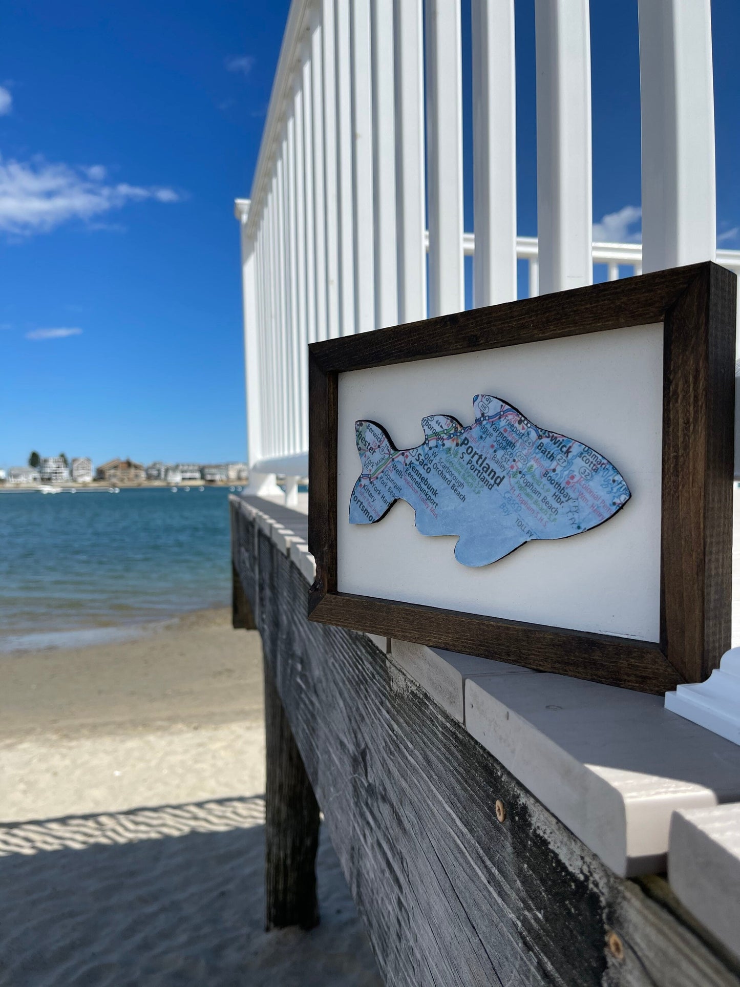 Customizable Framed Fish Maps