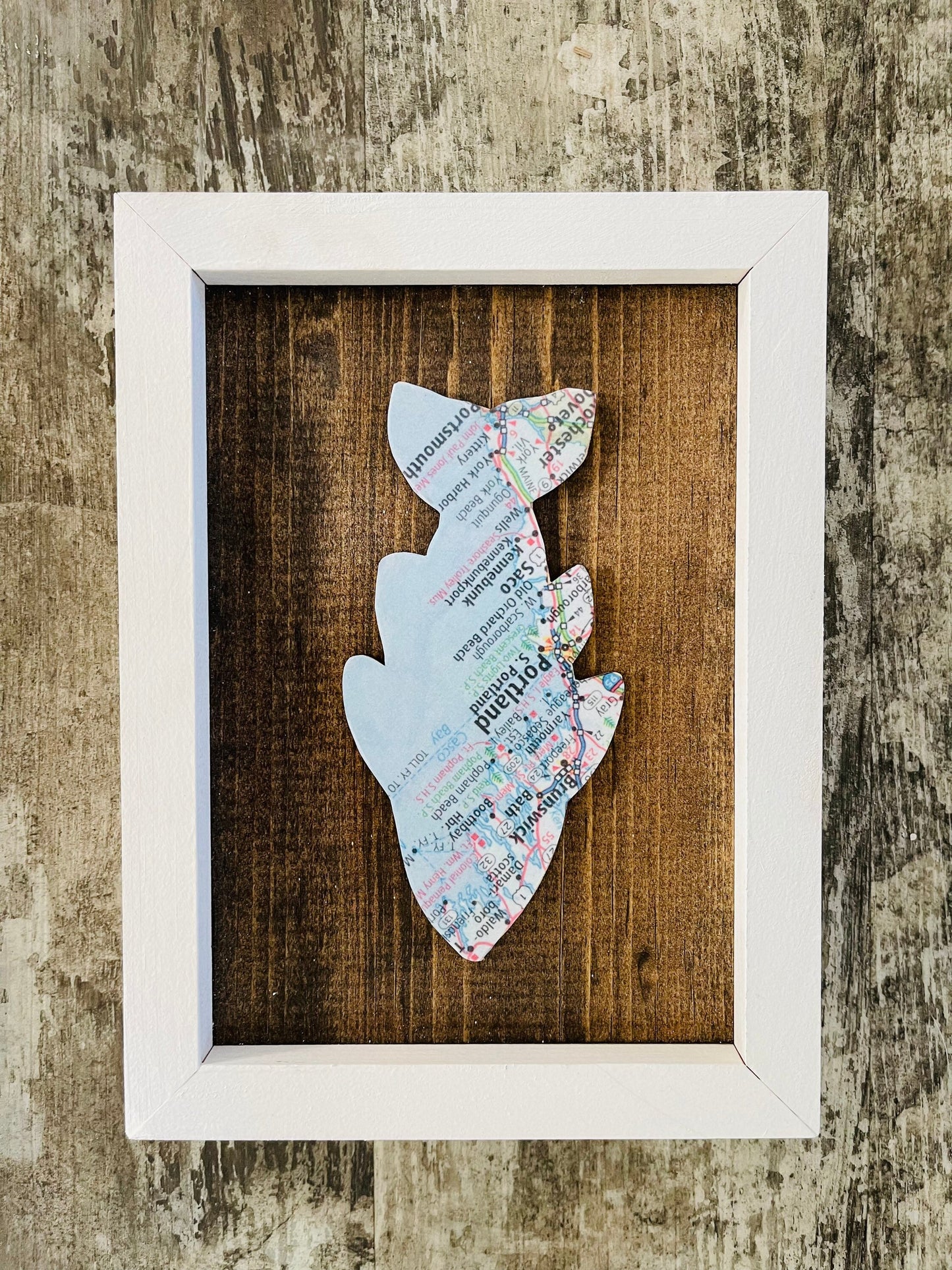 Customizable Framed Fish Maps