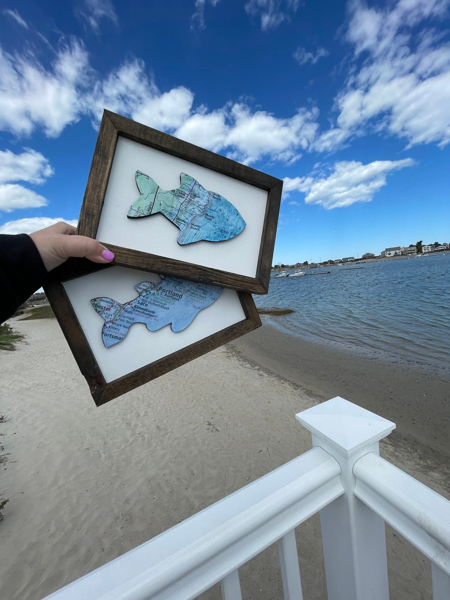 Customizable Framed Fish Maps