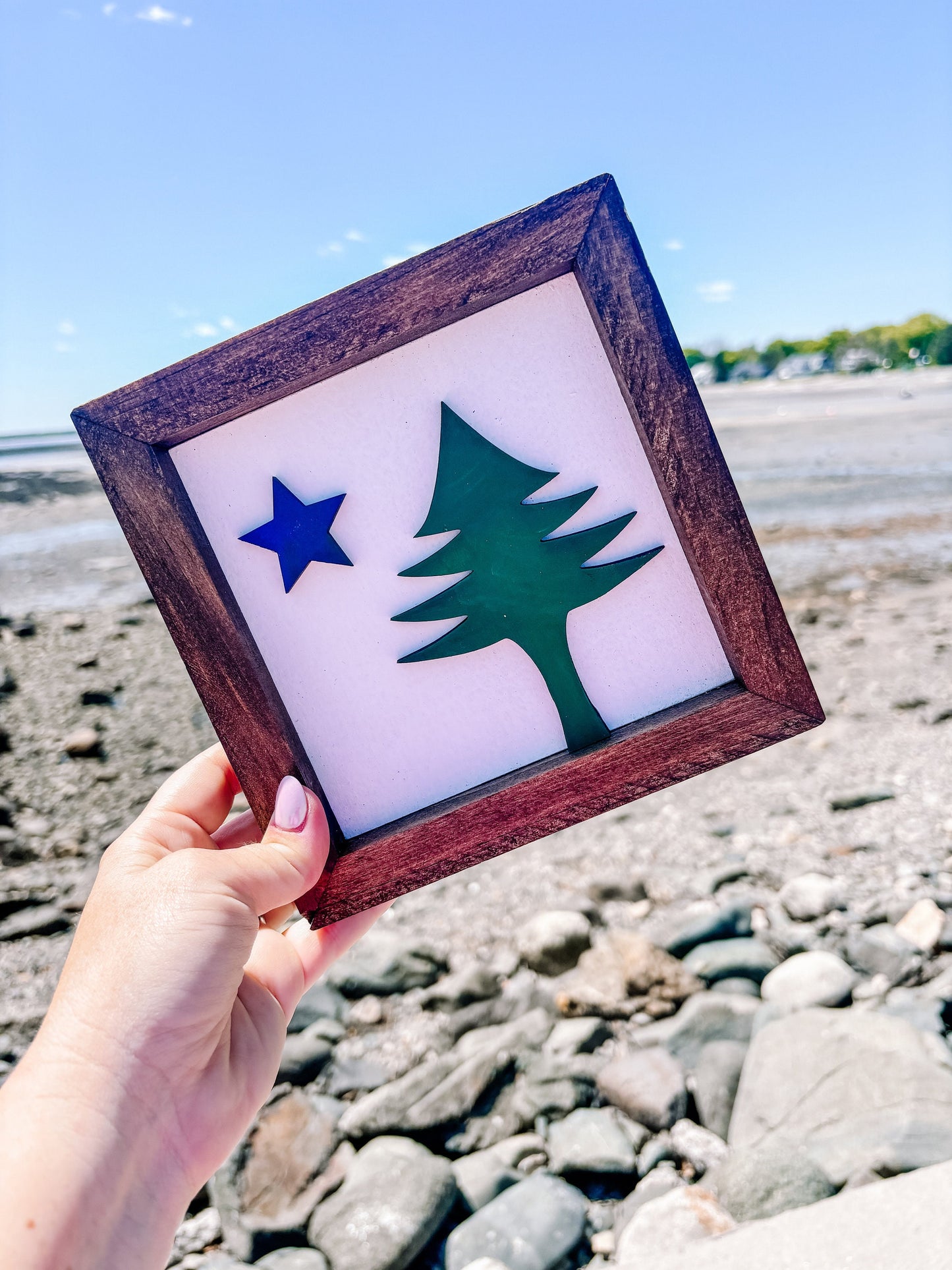 Original Maine 1901 Flag