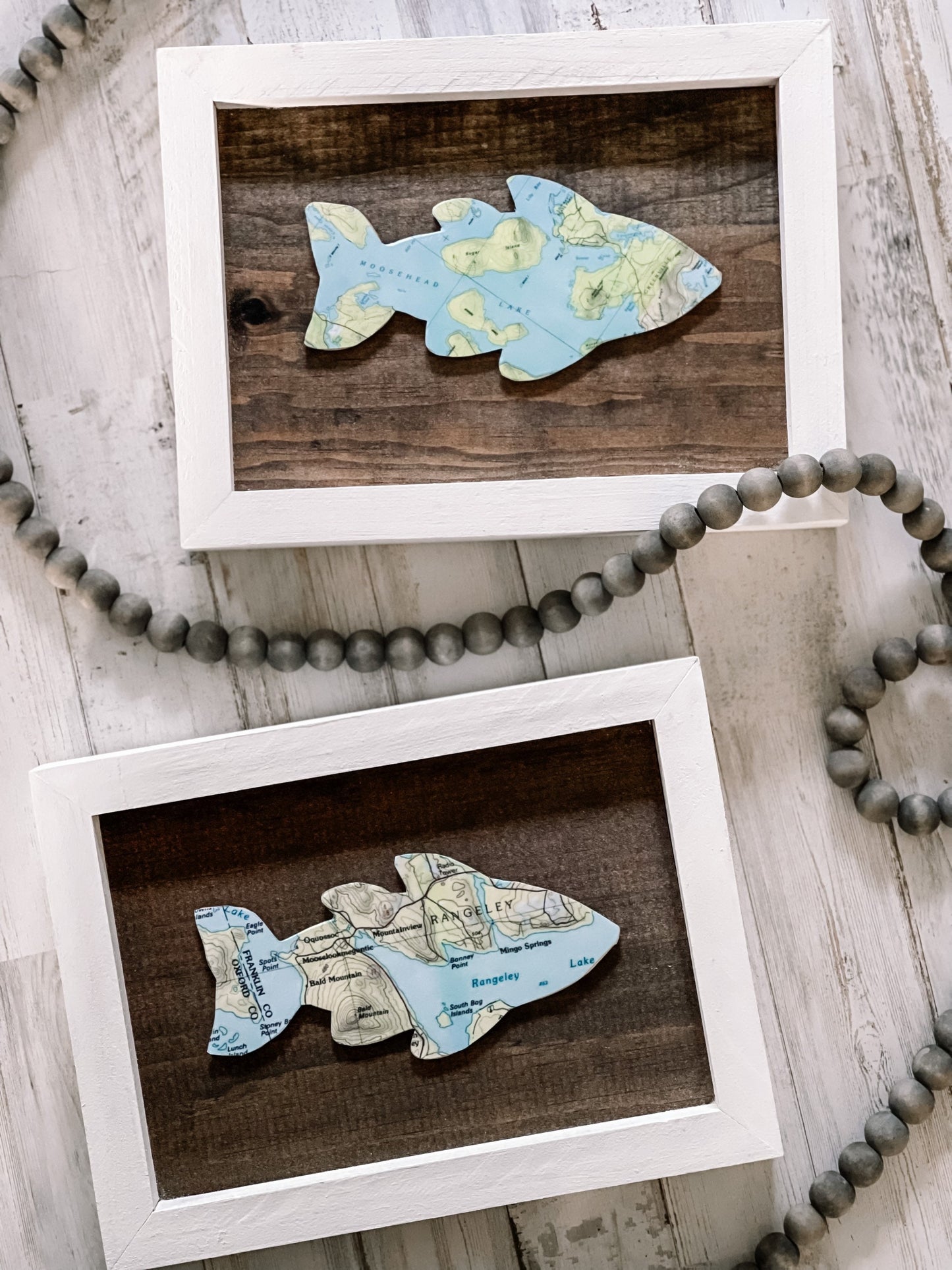 Customizable Framed Fish Maps