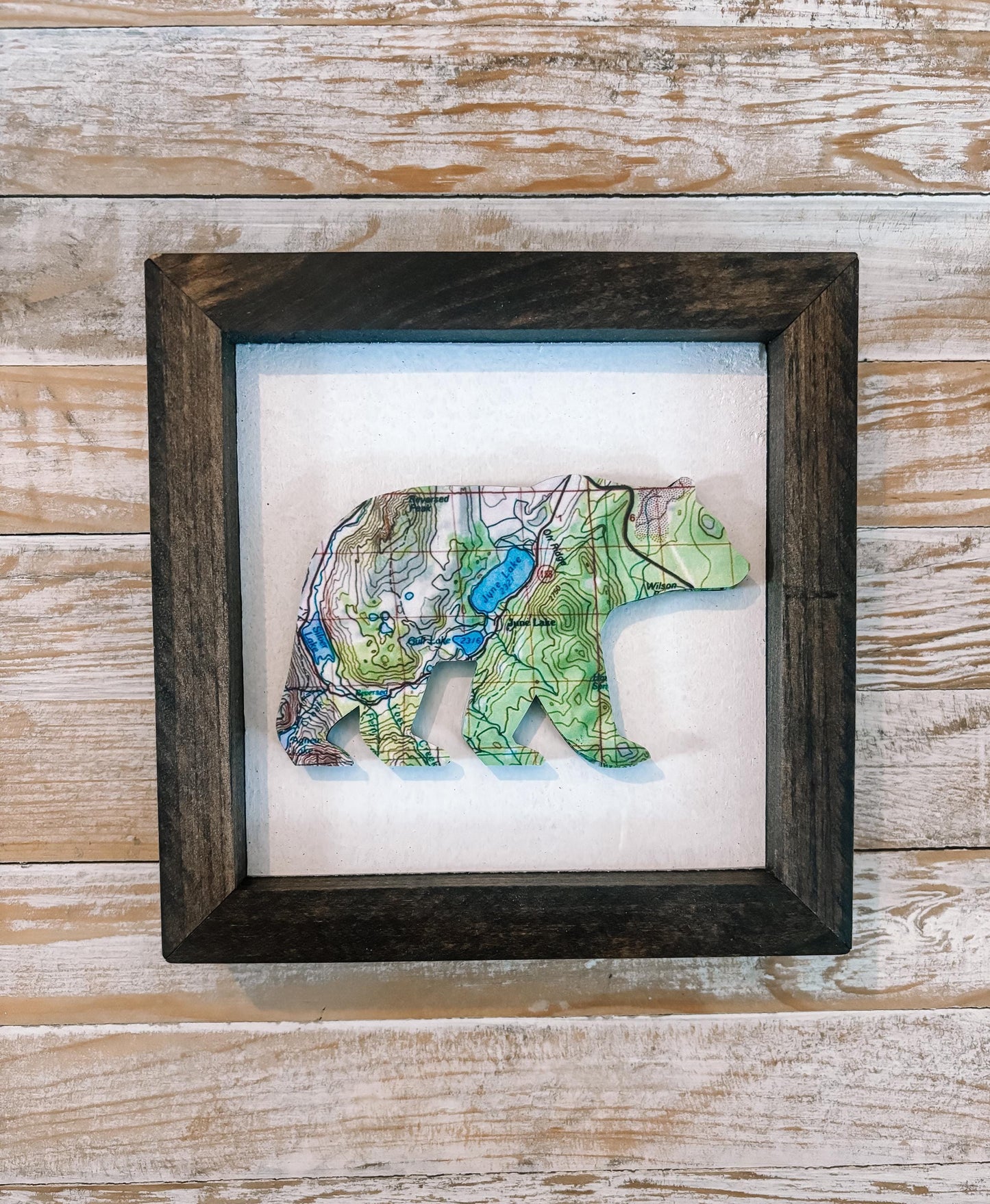 Custom Bear Shape Map