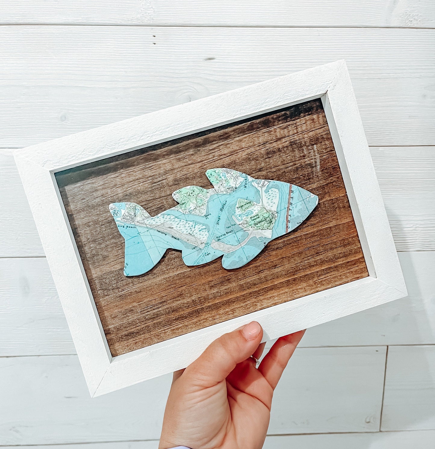 Customizable Framed Fish Maps