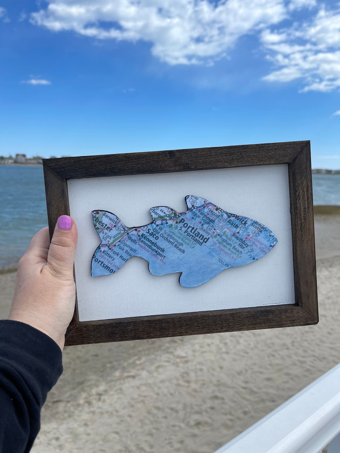 Customizable Framed Fish Maps