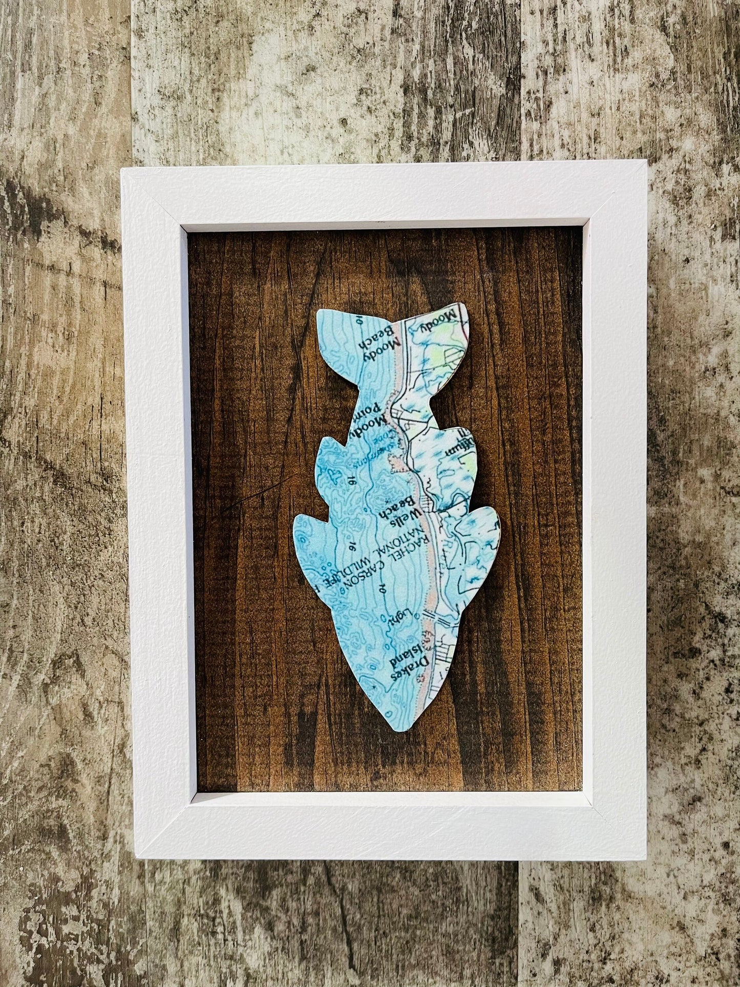 Customizable Framed Fish Maps